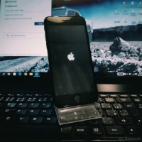 Apple iPhone 7